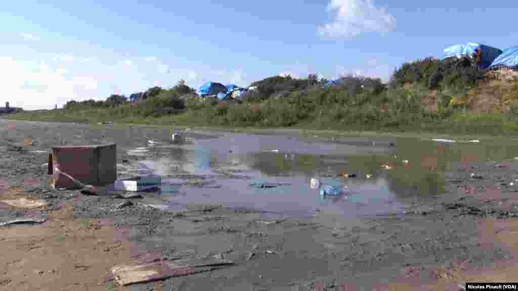 ព្រៃក្នុងក្រុង Calais ប្រទេសបារាំង។