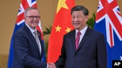 Perdana Menteri Australia Anthony Albanese (kiri) berjabat tangan dengan Presiden China Xi Jinping di sela KTT G20 di Nusa Dua, Bali, pada 15 November 2022. (Foto: Mick Tsikas/AAP Image via AP)