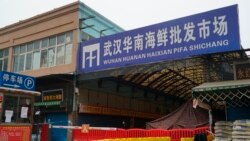 中國科學家認為，從武漢華南海鮮市場檢測到的新冠病毒很可能源自人類