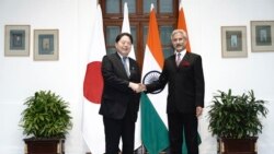 日外相訪印度、南非等國說服支持抗中，專家:日本具有一定的優勢