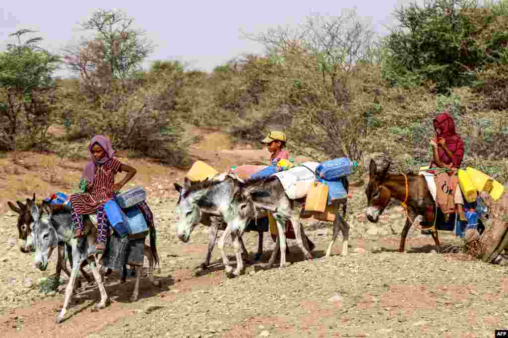 Children ride donkeys carrying jerrycans to fill up water from a cistern amid a water shortage and soaring temperatures, at a makeshift camp for people who fled fighting between Yemen's Huthi rebels and the Saudi-backed government forces, in the village of Hays in Yemen's western province of Hodeida. 