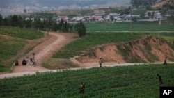 FILE - North Korean farmers tend a field outside Pyongyang, June 14, 2012. A U.N. report released July 16, 2024, accuses the Democratic People's Republic of Korea of widespread forced labor in a variety of sectors, including agriculture.