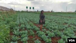 Rumbidzai Matonga ku Shepton Estates in Chegutu