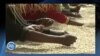 ኣፍረይቲ ቡን ኢትዮጵያ ንመምርሒ ኤውሮጳዊ ሕብረት ንንምምላእ ይነቕሉ፡ ቀሊል ግን ኣይመስልን