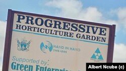 Isivande seProgressive Horticulture Garden esiseBethel, eGwanda South.