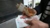 Algeria's Black Market for Foreign Currency Underlines Its Economic Woes 