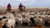 Pastoralists Modernizing to Deal With Climate Change, New Lifestyles