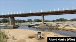 Gwanda livestock hunger