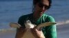 UN Report: Migratory Species Facing Extinction
