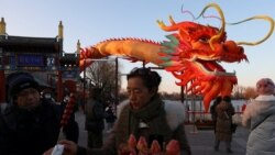 「龍寶寶」大批報到中國龍年生育率將迎來小高峰