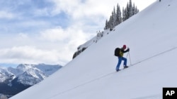 Doug Chabot with the Gallatin National Forest Avalanche Center ascends Henderson Mountain in the Beartooth Mountains near Cooke City, Montana, Jan. 29, 2024.