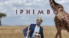 Umculi uGupta Langempela
