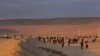 Peru Rescues 23 Afghans From Migrant Traffickers