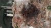 Satellite imagery shows China expanding spy bases in Cuba