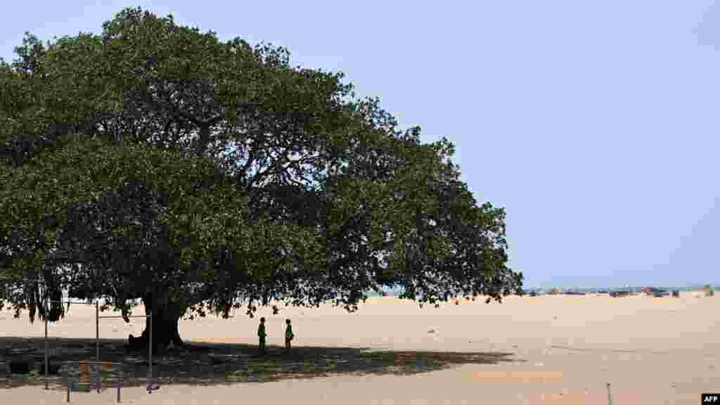 People shelter from the sun under the shade of a tree at Marina beach during a hot summer day in Chennai, India.