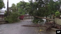 A tree lays across a street in Quelimane, Mozambique, March 12, 2023. 