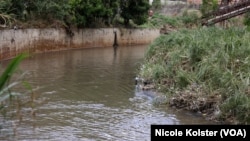 Sanear el contaminado río Guaire, que atraviesa Caracas, no es un trabajo fácil ni rápido, opinan expertos y vecinos del lugar.