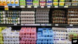 Soaring Egg Prices 