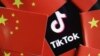 TikTok上的台湾政治风向：民进党一面倒挨打，柯文哲声量高