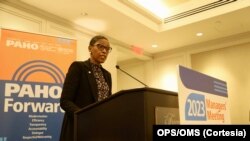 Rhonda Sealey-Thomas participa de la Reunión de Gerentes de la OPS en Washington en noviembre de 2023.
