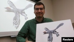 SCIENCE-DINOSAUR/