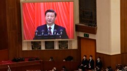 世界傳媒看中國：權力與改革的漲落