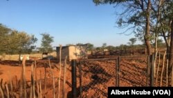 Illegal gold mining in Gwanda