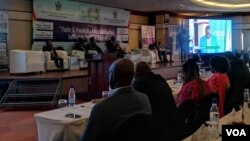 Zimbabwe Economic Development Conference