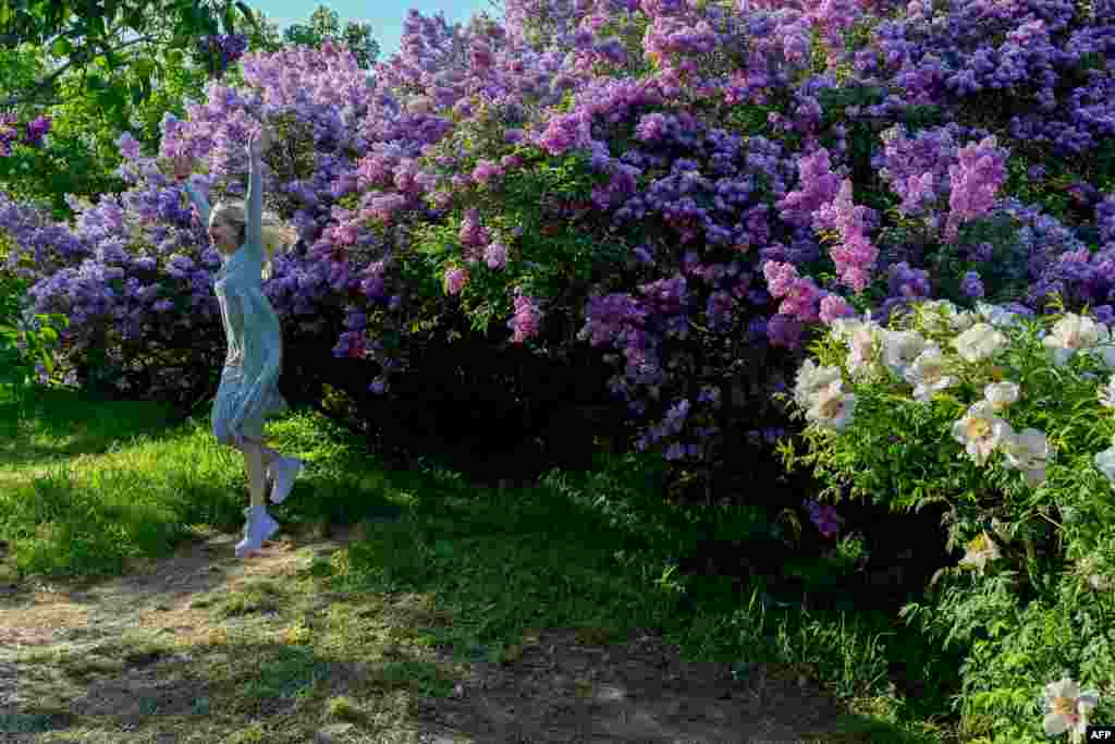 A woman jumps as she poses for a photo in front of blooming lilac bushes at the Botanical Garden in Kyiv, Ukraine, on May 2, 2024.