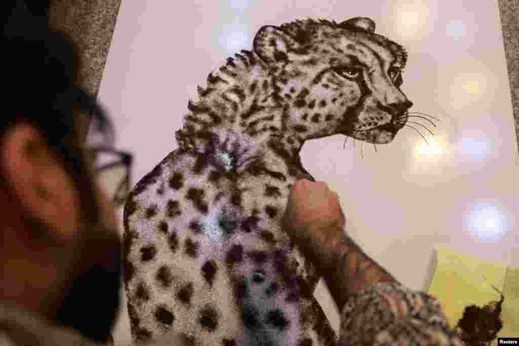 Iraqi barber, Hussein Falih, 31, crafts an artwork of a tiger using his clients hair, at his shop in Baghdad.