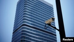 諮詢產業龍頭企業凱盛融英(Capvision)駐上海辦事處所在大樓外的監視攝影機(2023年5月9日)