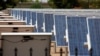 Colleges' Actions on Sustainability are a Draw for Students