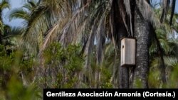 Una caja nido instalada en El Palmar.