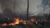 Greek prime minister warns of ‘particularly dangerous’ wildfire summer 