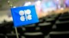 Logo Organisasi Negara-negara Pengekspor Minyak atau OPEC terlihat di kantor pusat organisasi tersebut di Wina, Austria pada 3 Desember 2013. (Foto: AFP)