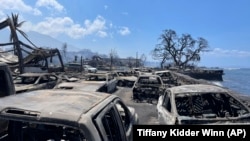 In this photo provided by Tiffany Kidder Winn, burned-out cars sit after a wildfire raged through Lahaina, Hawaii, on Aug. 9, 2023.