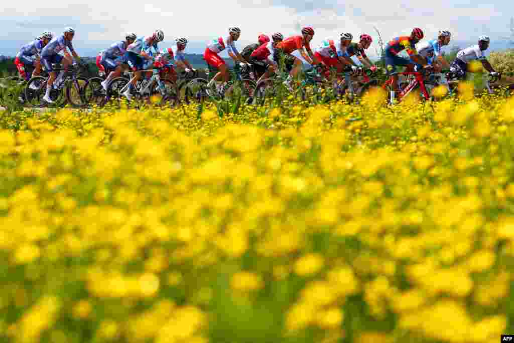 The pack rides during the 2nd stage of the 107th Giro d'Italia cycling race, 161km between San Francesco al Campo and Sanctuary of Oropa (Biella), Italy.