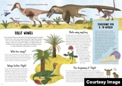 "When Dinosaurs Conquered The Skies," was written by Jingmai O’Connor, illustrated by Maria Brzozowska, and designed by Karen Hood, copyright © 2022. (Reproduced by permission of the publisher, words & pictures, an imprint of The Quarto Group, Beverly, MA.)