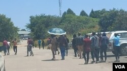 Amasotsha abhalisela ukuvota koBulawayo. (VOA)