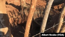 Illegal gold mining in Gwanda