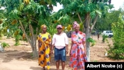 Women in Bethel, eGwanda South, showcasing their fruit plants at Progressive Garden, which they established with the help of Hand in Hand. 