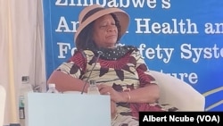 Mat South Provincial Affairs Minister Evelyn Ndlovu