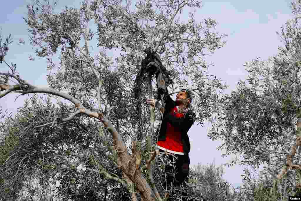A Palestinian man looks for remains of bodies at the site of an Israeli strike on a house, amid the ongoing conflict between Israel and the Palestinian Islamist group Hamas, in Rafah, in the southern Gaza Strip.