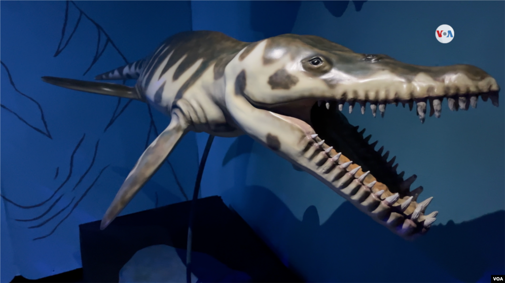 En la imagen un Kronosaurus que vivió en el Cretácico inferior en Australia y Colombia. 