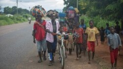 Emissão Vespertina 1 Abril 2024: Saída da força da SADC levanta preocupações sobre luta contra terrorismo em Cabo Delgado
