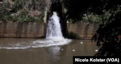 Plásticos flotan en el muy contaminado río Guaire, que atraviesa Caracas.