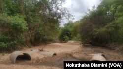 Nkayi Drought