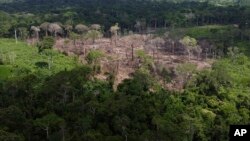 Lahan yang gundul terlihat di area deforestasi hutan Amazon yang diidentifikasi oleh Lembaga Chico Mendes di negara bagian Acre, Brazil, akhir tahun 2022 lalu (foto: dok). 