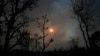 Deforestation in Brazil's Savanna Region Surges to Highest Level Since 2019 