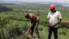In Uganda, Refugees Ravaged the Forests. Now, They’re Restoring Them 
